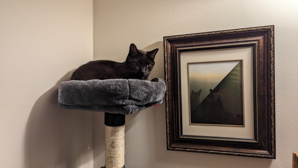 Posing next to his portrait