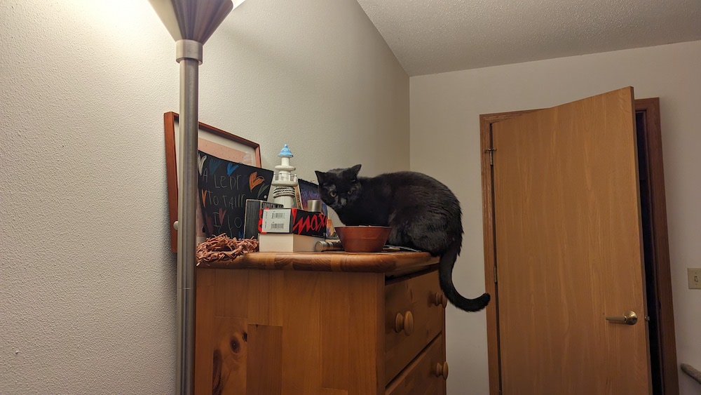 Checking out the dresser